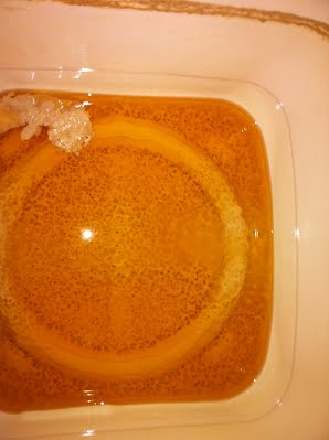 Fermentação